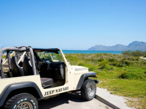 Wrangler-Jeep-safari-strand