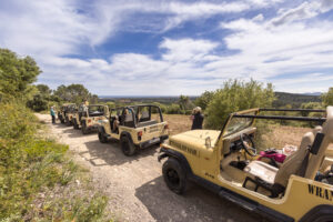mallorca jeep safari (2)