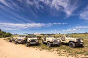 safari tour mallorca